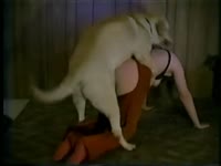 Zoofilia porn video of slut getting banged by dog